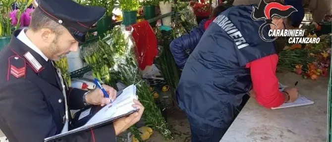 Catanzaro, ruba fiori al cimitero: denunciato un 45enne
