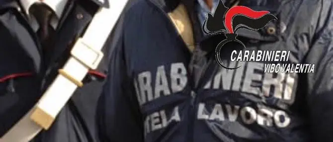 Operai in nero, sospesa attività azienda boschiva nel Vibonese