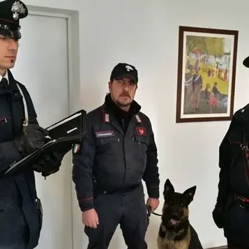 Cocaina in casa pronta per lo spaccio, 32enne finisce in carcere