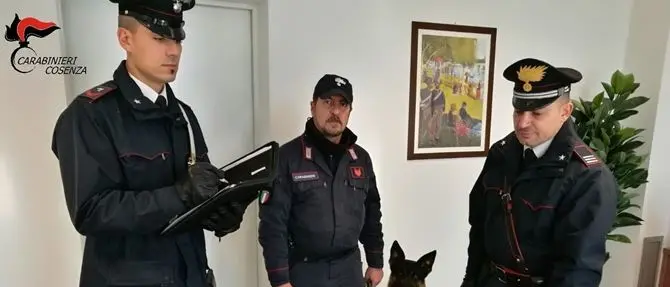 Cocaina in casa pronta per lo spaccio, 32enne finisce in carcere