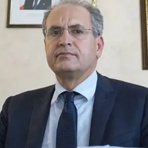 Annullato lo scioglimento di Lamezia. Mascaro: «Riscattato l'onore di una città»