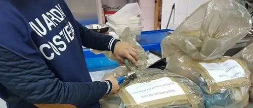Reggio, seicento chili di pesce sequestrati dalla guardia costiera