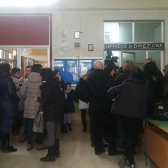 Castrovillari, topi in una scuola: genitori protestano