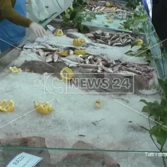 Cetraro, amministratori vendono il pesce per rilanciare il mercato ittico