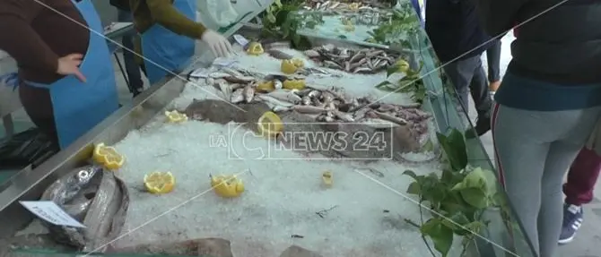 Cetraro, amministratori vendono il pesce per rilanciare il mercato ittico