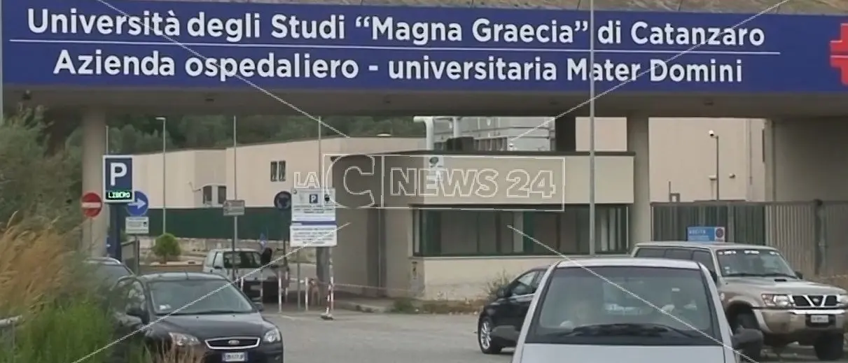 Verso l'Azienda unica di Catanzaro. Cotticelli: «Una pietra miliare per la sanità calabrese»