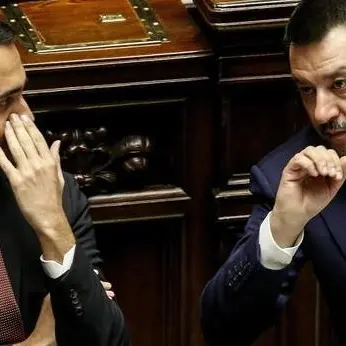 Caso Diciotti, il M5s al voto: vince il “Sì” all’immunità per Matteo Salvini