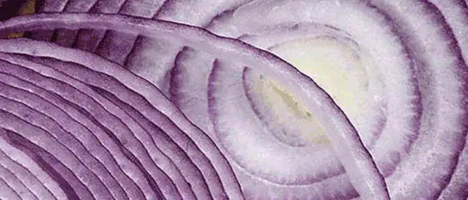 Cipolla di Tropea, la rossa diventa reginetta del party più glam dell'anno