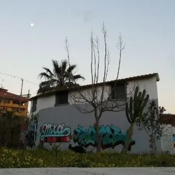 Un gatto morto nel centro sociale di Gallico e la struttura vandalizzata
