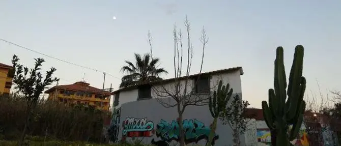 Un gatto morto nel centro sociale di Gallico e la struttura vandalizzata