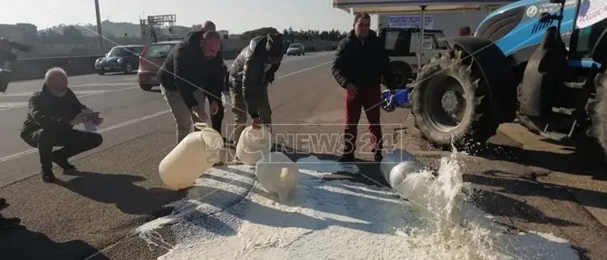 I pastori crotonesi come quelli sardi: latte a terra in segno di protesta