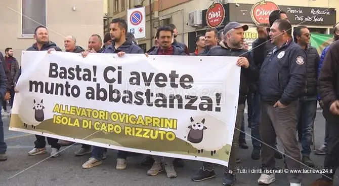 Riprende la protesta del latte a Crotone, «Stiamo peggio dei sardi»