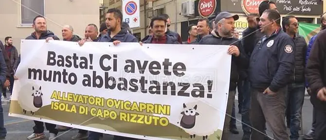 Riprende la protesta del latte a Crotone, «Stiamo peggio dei sardi»
