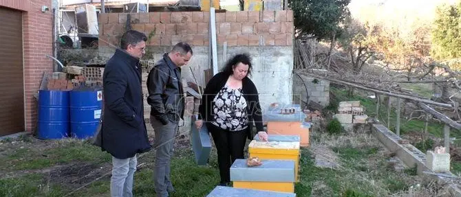 Cercasi api per azienda per tre volte derubata e vandalizzata