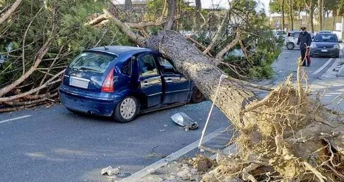 Il maltempo sferza il Centrosud, tre morti nel Lazio