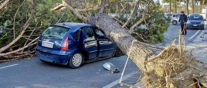 Il maltempo sferza il Centrosud, tre morti nel Lazio