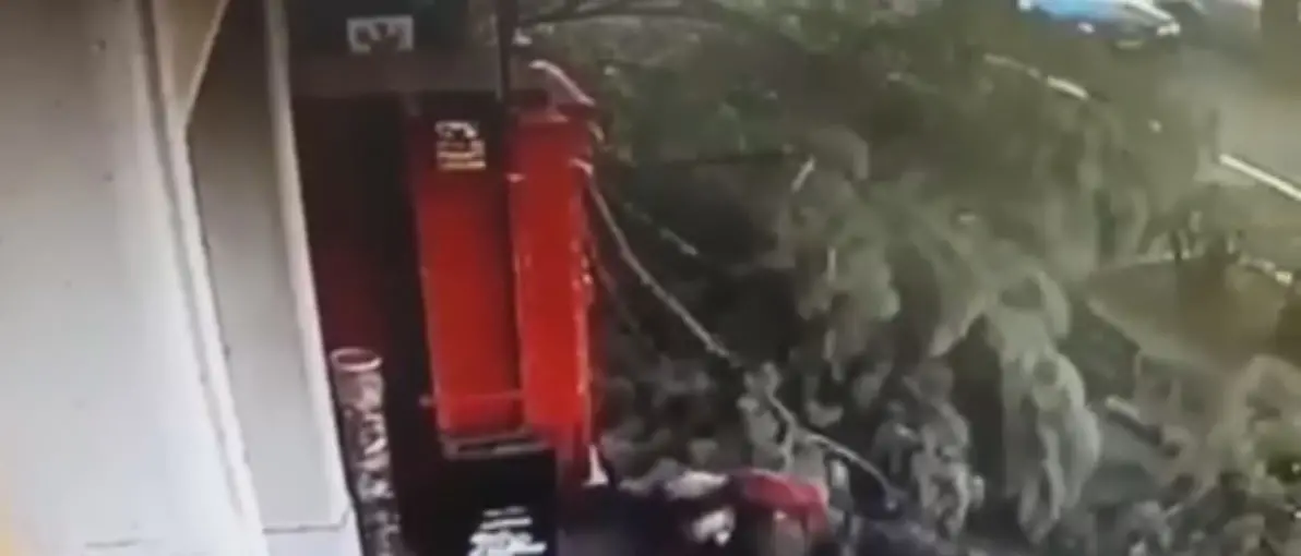 Castrovillari, albero investe un passante: tragedia sfiorata