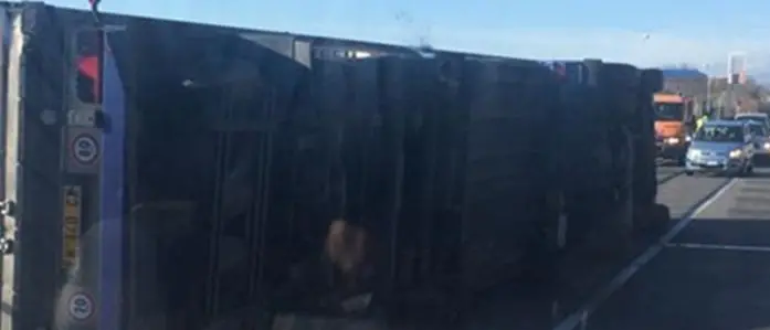 Maltempo, conta dei danni nel Cosentino. Alcune scuole non apriranno: ecco quali