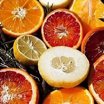 Le eccellenze calabresi incontrano Parigi al Salone dell'Agricoltura