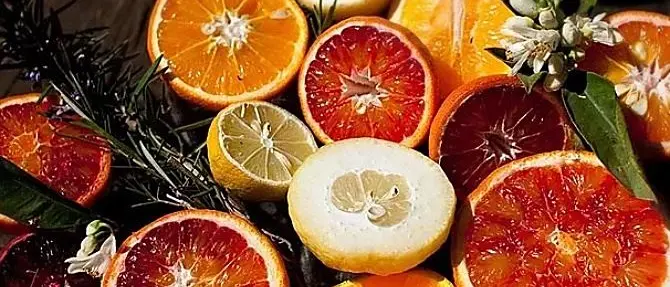 Le eccellenze calabresi incontrano Parigi al Salone dell'Agricoltura