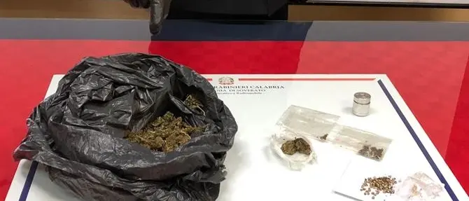 Droga nelle scuole, tre studenti soveratesi segnalati alla Prefettura