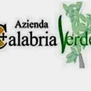 Calabria Verde: «Bisogna reagire con determinazione»