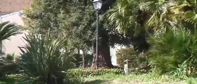 Catanzaro e il censimento informatico del verde pubblico