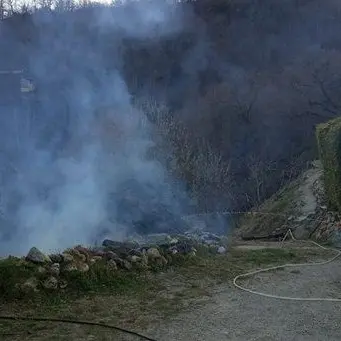 Paura nel Catanzarese, incendio divampa vicino al centro abitato