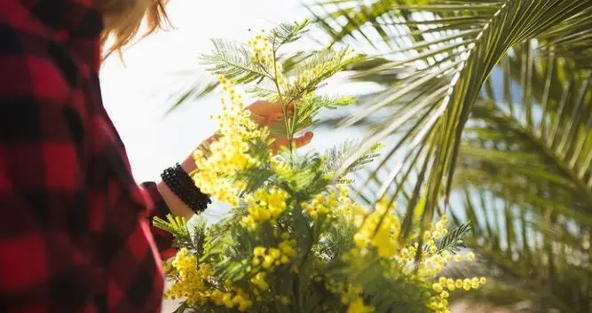 “Piantiamola”, l’iniziativa per l'8 marzo contro la discriminazione di genere