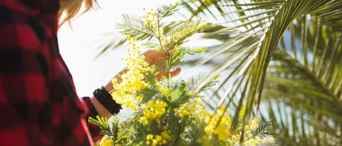 “Piantiamola”, l’iniziativa per l'8 marzo contro la discriminazione di genere