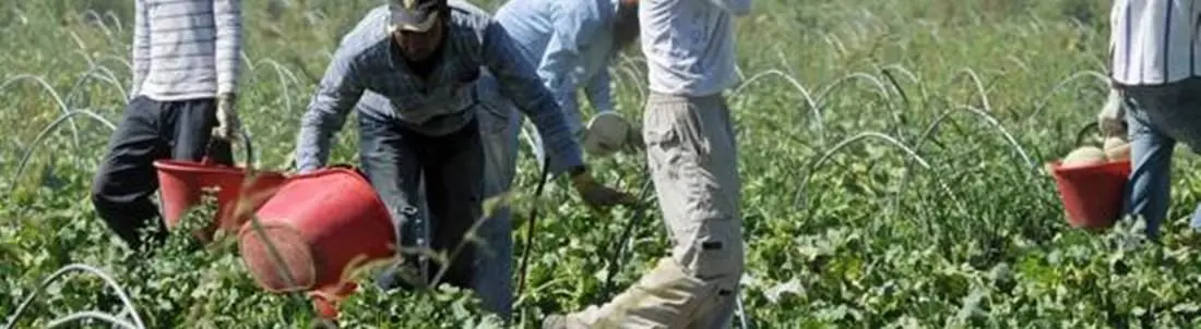 Braccianti come schiavi e lavoratrici violentate, tre arresti nel Reggino