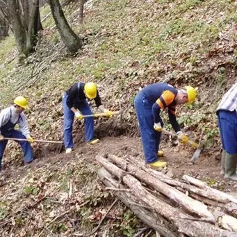 Contratto dei forestali, l’Ugl Agroalimentare prosegue la battaglia