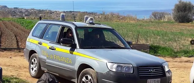 Dodici lavoratori in nero nei campi di cipolla a Briatico, sanzioni