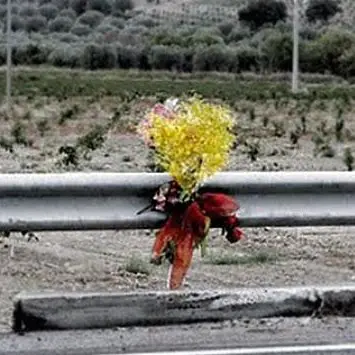 8 marzo, mimose lungo la statale 106 per ricordare le vittime