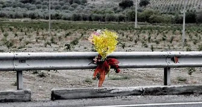 8 marzo, mimose lungo la statale 106 per ricordare le vittime