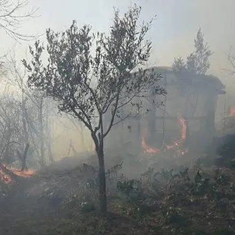 Incendio minaccia abitazioni, evacuati residenti a Fossato
