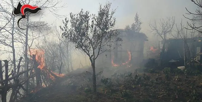 Incendio minaccia abitazioni, evacuati residenti a Fossato