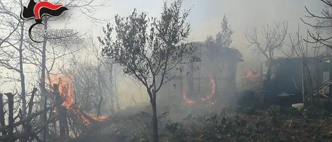 Incendio minaccia abitazioni, evacuati residenti a Fossato