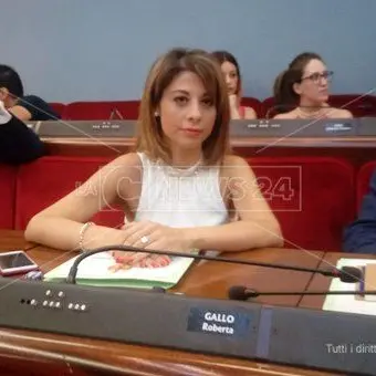 Catanzaro, bagarre al Comune: volano gli stracci tra due esponenti di FI