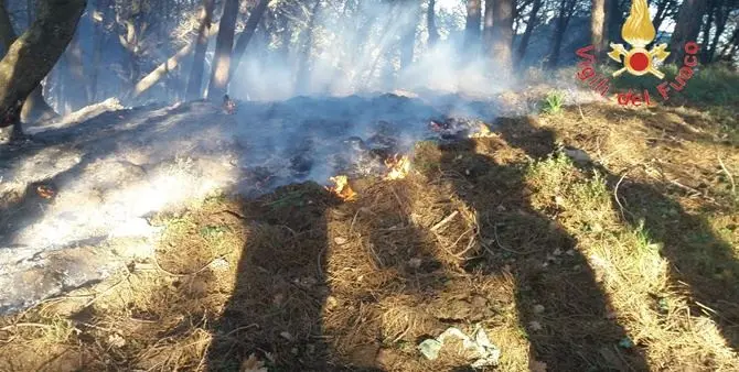 Incendio divampa a San Floro: paura per la cooperativa Nido di seta