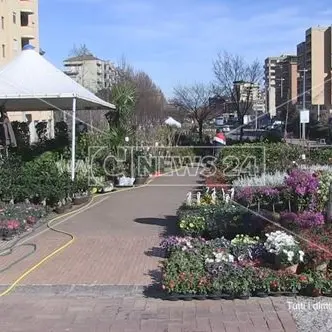 Cosenza, l'incognita del cantiere metro sulla Fiera di San Giuseppe