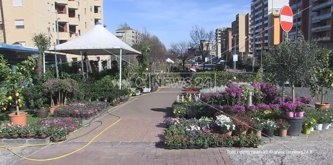 Cosenza, l'incognita del cantiere metro sulla Fiera di San Giuseppe