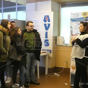 Tropea, screening gratuiti nella Giornata mondiale del rene