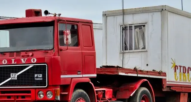 A Rende torna il circo con gli animali. E anche le polemiche