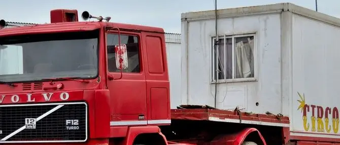 A Rende torna il circo con gli animali. E anche le polemiche