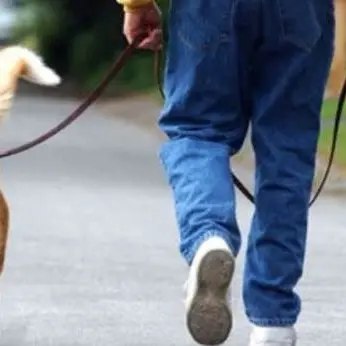 A spasso con il cane ma è ai domiciliari, un arresto a Pizzo