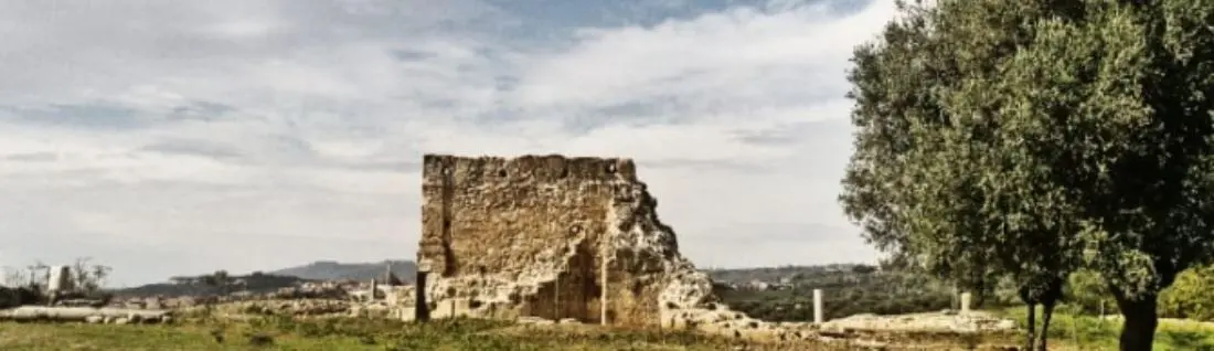 «Resti umani nel parco archeologico di Mileto». Si scava per trovare conferme alla segnalazione