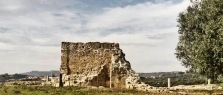 «Resti umani nel parco archeologico di Mileto». Si scava per trovare conferme alla segnalazione