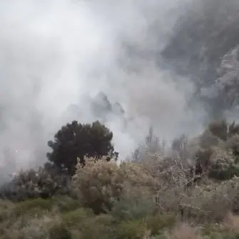 Incendio divampa in una discarica abusiva ad Albi: disagi per la popolazione