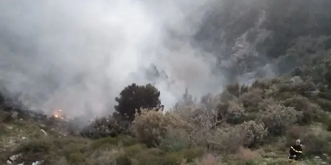 Incendio divampa in una discarica abusiva ad Albi: disagi per la popolazione